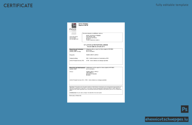 Französisches INSEE-Registrierungszertifikat – Beispielansicht in Word und PDF
